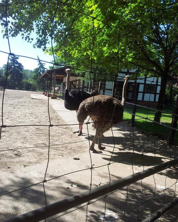 Tierpark-Restaurant